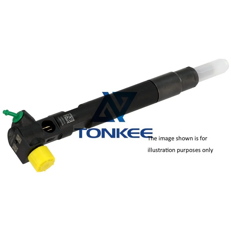 China Delphi 28529434 Common Rail Injector | Tonkee®