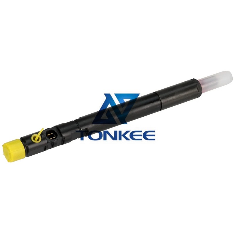 Hot sale Delphi R04201D Common Rail Diesel Injector | Tonkee®