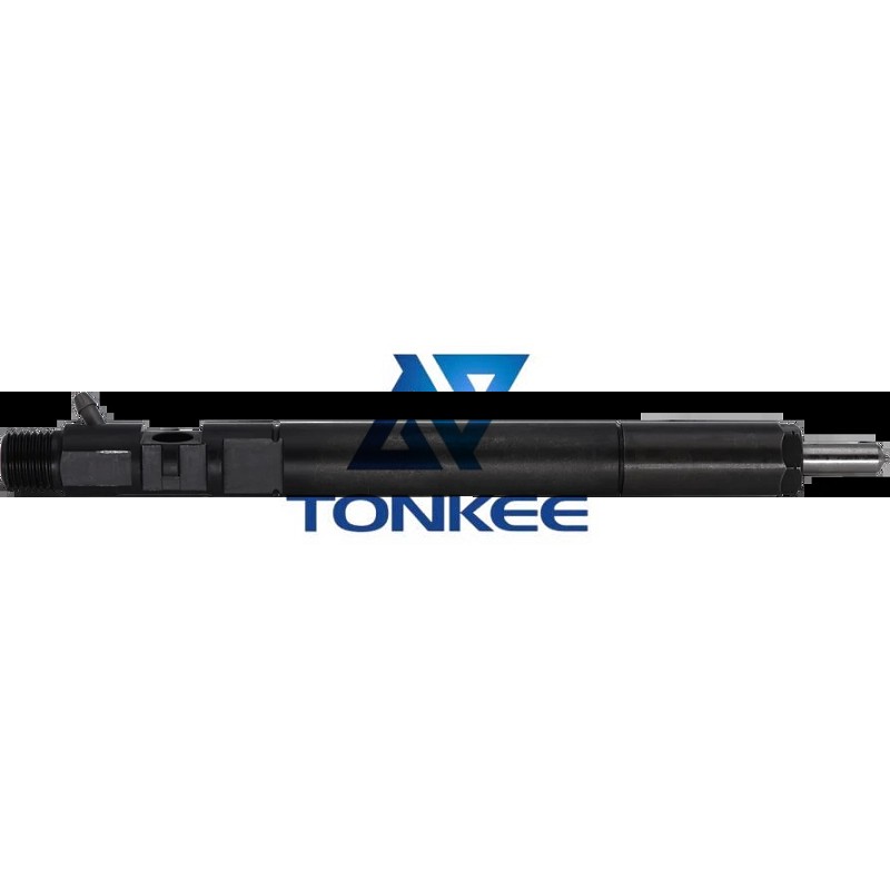 China Delphi R04401D Common Rail Diesel Injector | Tonkee®