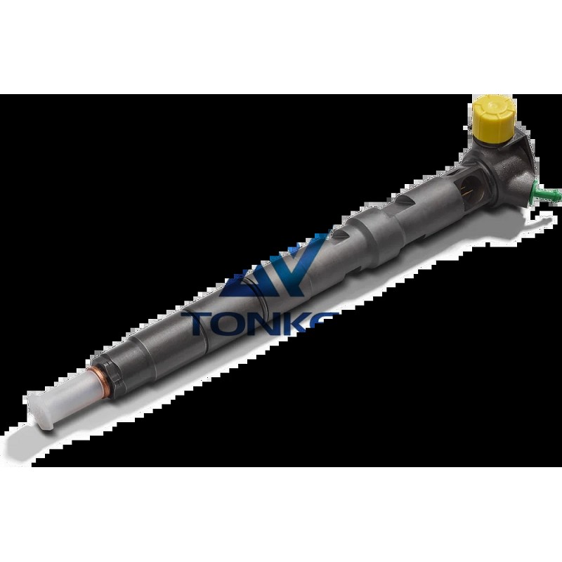 China Delphi R06001D Common Rail Diesel Injector | Tonkee®
